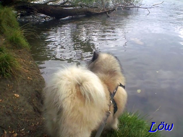 21.8.2025 - Badestrand